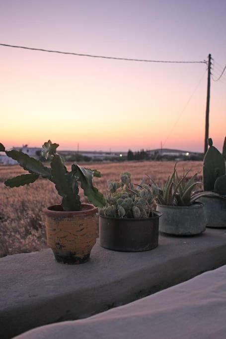 A Casa D' Irene Villa Parikia  Luaran gambar
